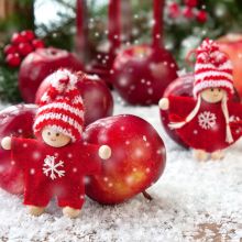 Weihnachten mit Mini Wellness & Vital 3 Nächte