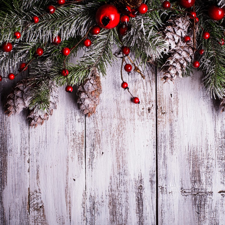 Weihnachtsaufenthalt (ab 4 Übernachtungen)