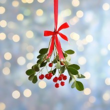 Weihnachten & Silvester mit leichter Kur