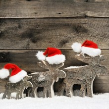 Weihnachten & Silvester mit Komplexer Heilkur