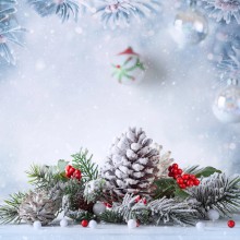 Weihnachten mit Energie Programm 
