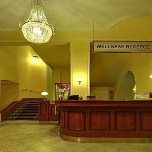 Wellness Reception